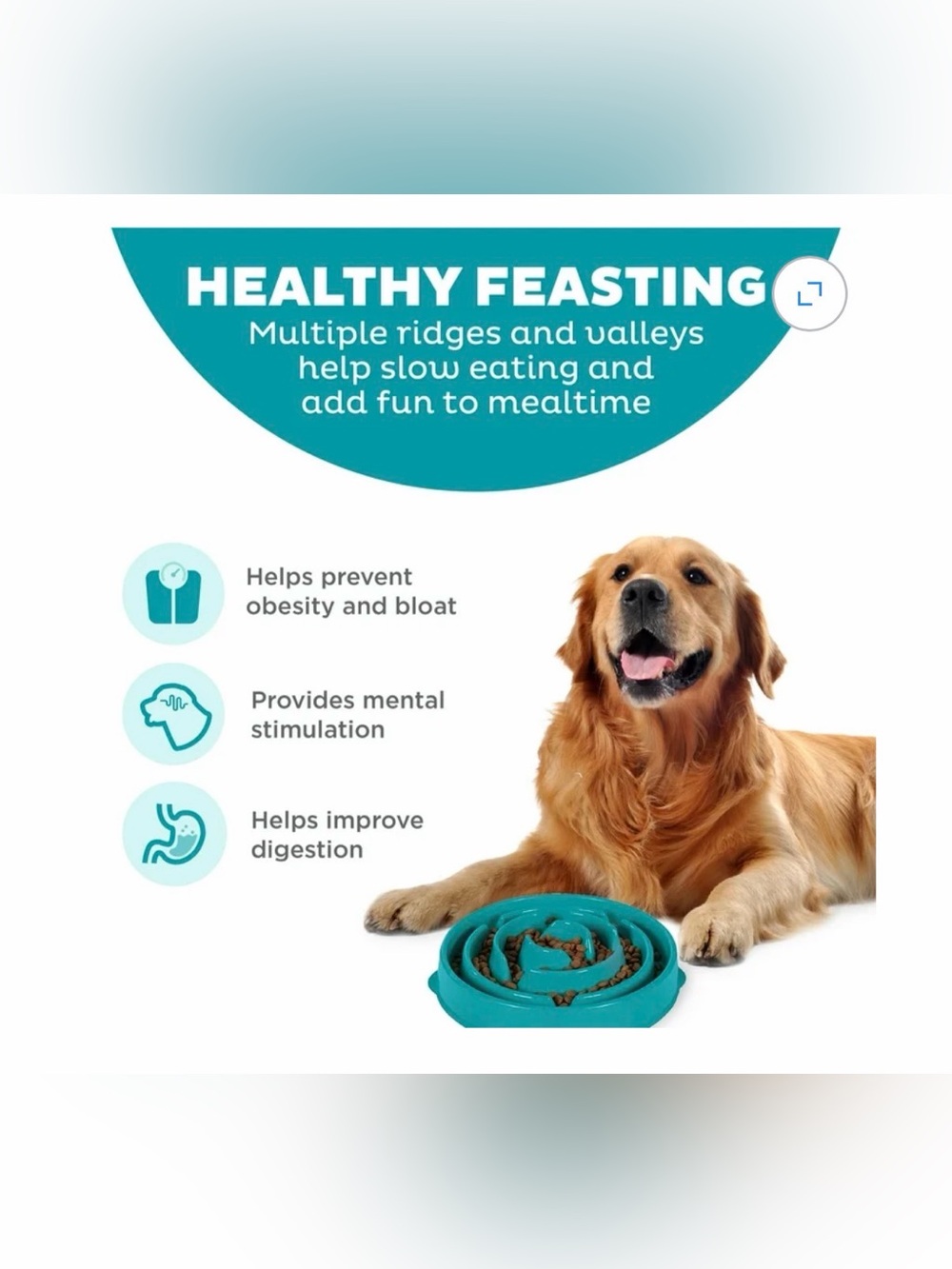 Outward Hound Teal Slow-Feed Dog Bowl - large pet feeder